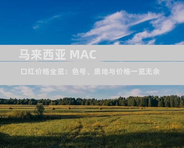 马来西亚 MAC 口红价格全览：色号、质地与价格一览无余
